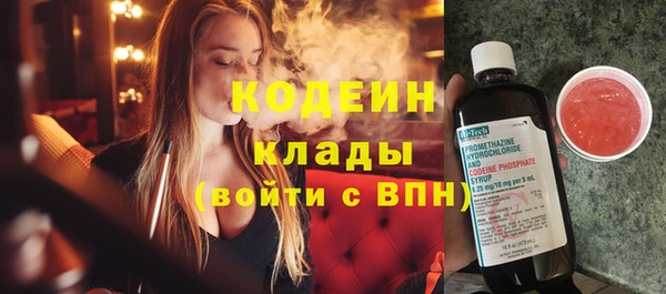 индика Абаза